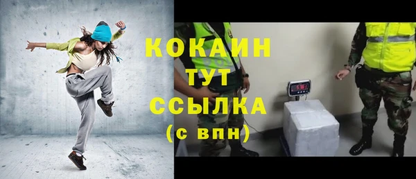 стафф Арсеньев