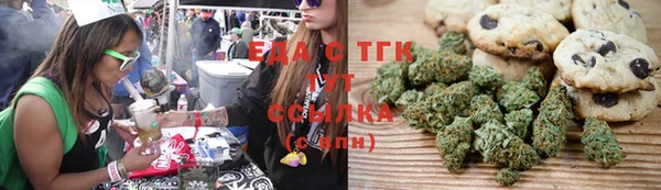 стафф Арсеньев