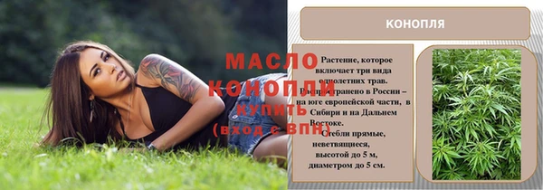 стафф Арсеньев