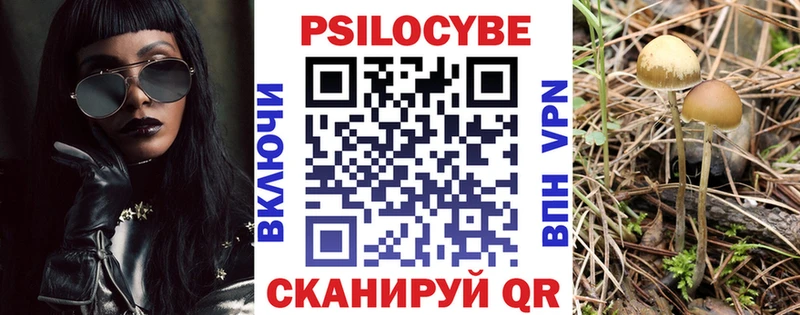 Псилоцибиновые грибы Cubensis  купить   OMG сайт  Саянск 